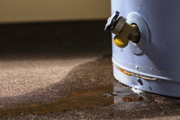 Best Fire Damage Restoration  in Monticello, FL