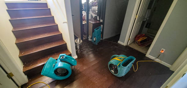 Carpet water damage restoration in Monticello, FL