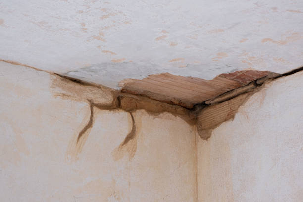 Best Water damage restoration experts  in Monticello, FL