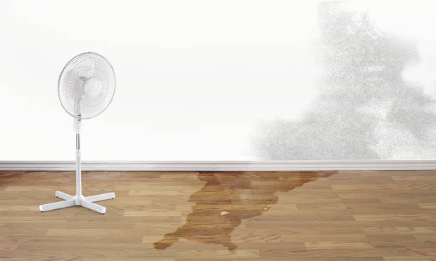 Best 24-hour water damage restoration  in Monticello, FL