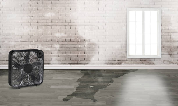 Best Commercial water damage restoration  in Monticello, FL