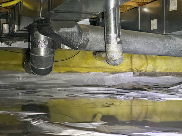 Best Basement water damage restoration  in Monticello, FL
