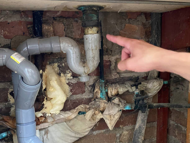 Best Local water damage restoration  in Monticello, FL