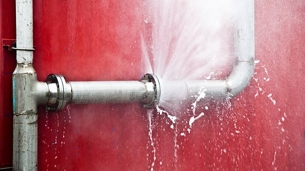 Best Flood damage cleanup  in Monticello, FL